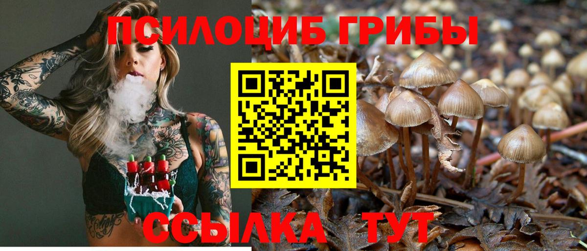 Псилоцибиновые грибы GOLDEN TEACHER  что такое   Кимовск  Вход с VPN  Псилоцибиновые грибы MAGIC MUSHROOMS 